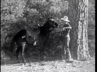 Frame at 41:47, shot 431