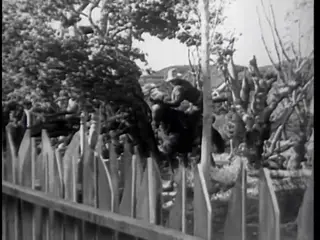 Frame at 41:56, shot 433