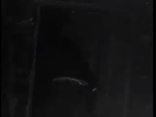 Frame at 42:26, shot 437