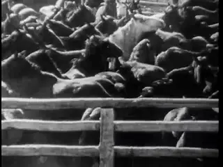 Frame at 43:17, shot 448