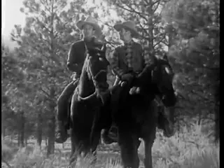 Frame at 43:21, shot 449