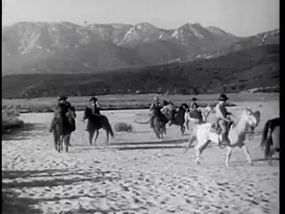 Frame at 43:57, shot 462