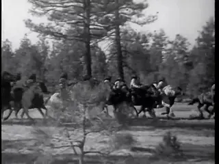 Frame at 43:59, shot 463