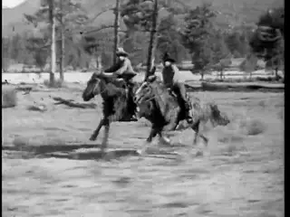Frame at 44:37, shot 477