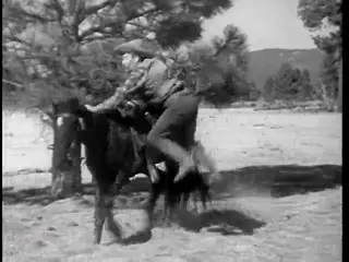 Frame at 46:27, shot 508