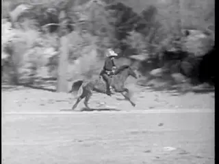 Frame at 49:13, shot 550