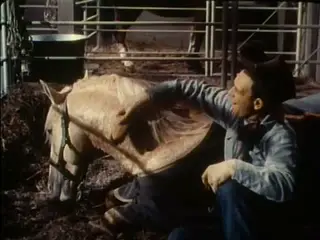 shot 198