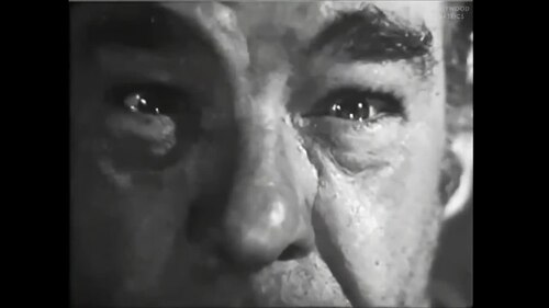 Image from Indestructible Man