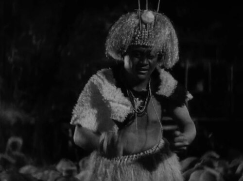 Image from Bird of Paradise